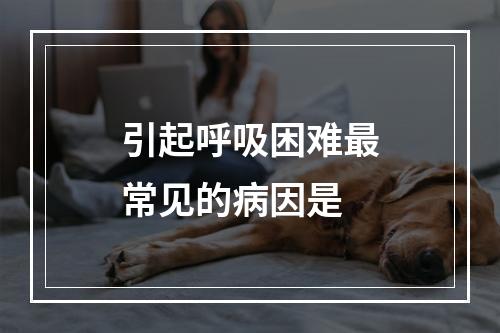 引起呼吸困难最常见的病因是