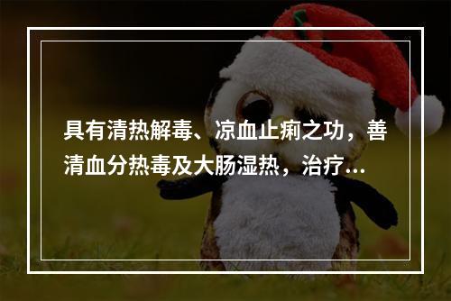 具有清热解毒、凉血止痢之功，善清血分热毒及大肠湿热，治疗热毒