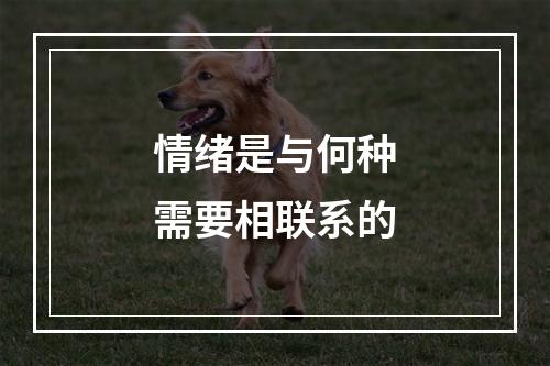 情绪是与何种需要相联系的