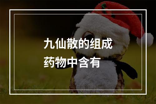 九仙散的组成药物中含有