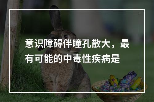 意识障碍伴瞳孔散大，最有可能的中毒性疾病是