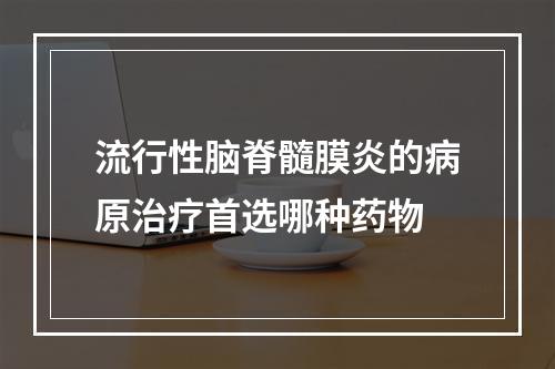 流行性脑脊髓膜炎的病原治疗首选哪种药物