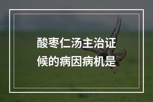 酸枣仁汤主治证候的病因病机是