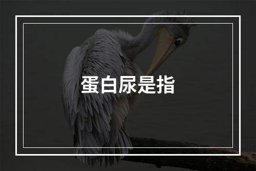 蛋白尿是指