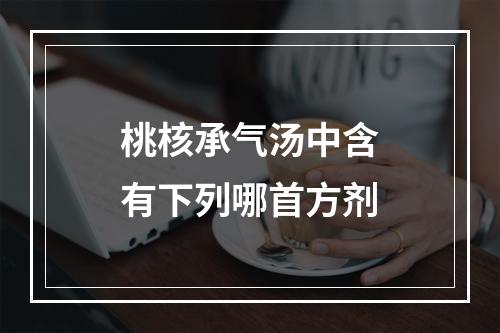 桃核承气汤中含有下列哪首方剂