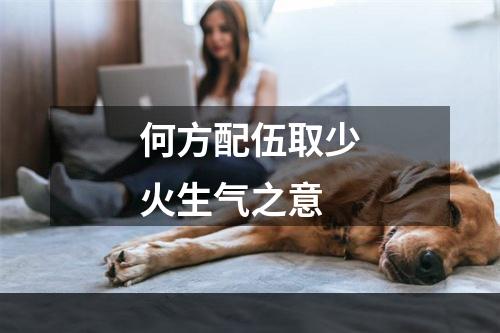 何方配伍取少火生气之意