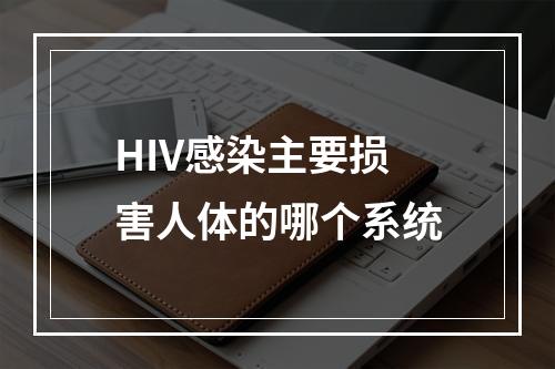 HIV感染主要损害人体的哪个系统