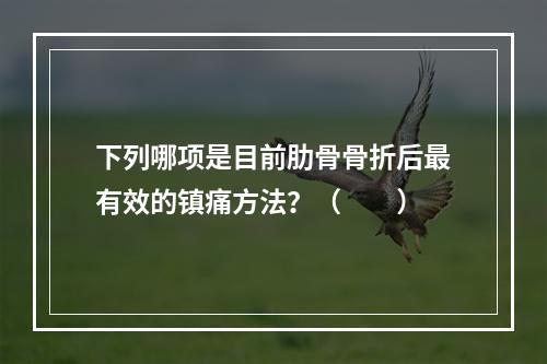 下列哪项是目前肋骨骨折后最有效的镇痛方法？（　　）