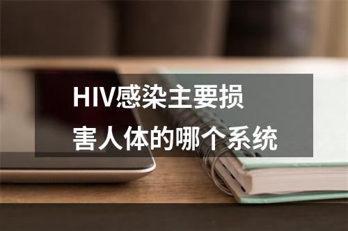 HIV感染主要损害人体的哪个系统