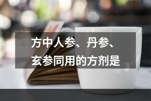 方中人参、丹参、玄参同用的方剂是