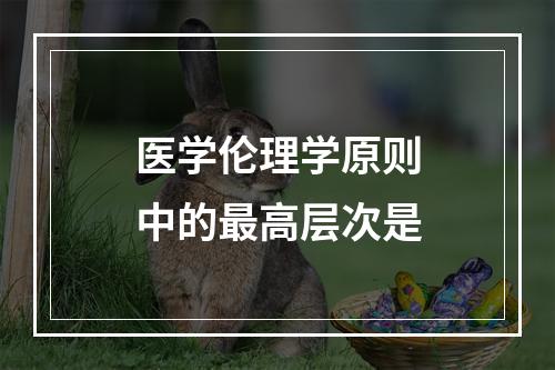 医学伦理学原则中的最高层次是