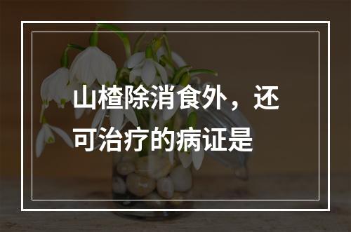 山楂除消食外，还可治疗的病证是