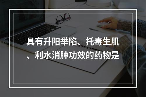 具有升阳举陷、托毒生肌、利水消肿功效的药物是