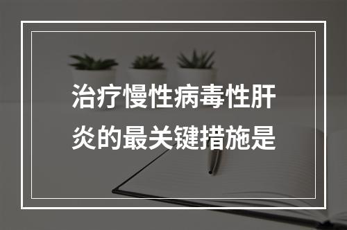 治疗慢性病毒性肝炎的最关键措施是