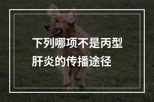 下列哪项不是丙型肝炎的传播途径