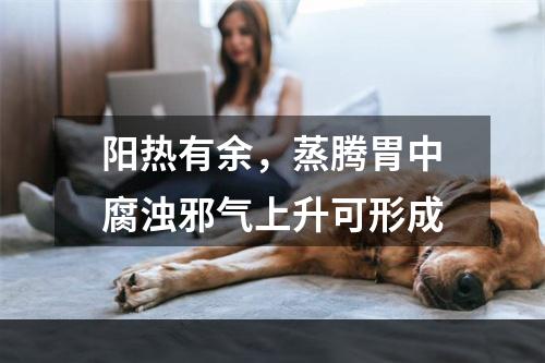 阳热有余，蒸腾胃中腐浊邪气上升可形成