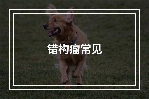 错构瘤常见