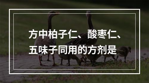 方中柏子仁、酸枣仁、五味子同用的方剂是