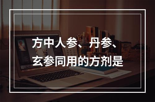 方中人参、丹参、玄参同用的方剂是