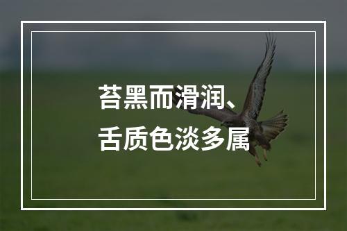 苔黑而滑润、舌质色淡多属