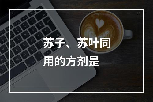 苏子、苏叶同用的方剂是