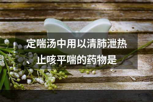 定喘汤中用以清肺泄热、止咳平喘的药物是