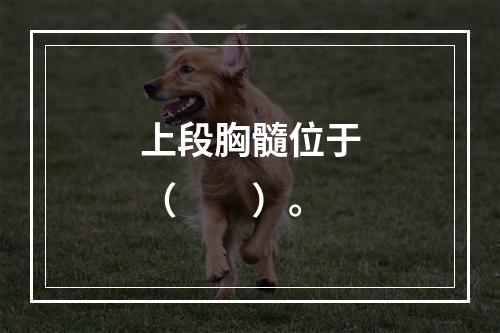 上段胸髓位于（　　）。