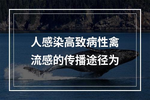 人感染高致病性禽流感的传播途径为