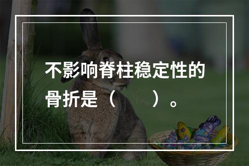 不影响脊柱稳定性的骨折是（　　）。