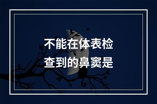 不能在体表检查到的鼻窦是