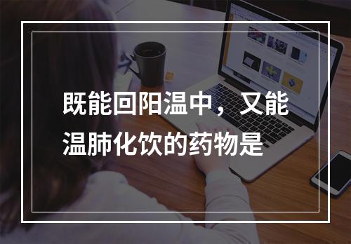 既能回阳温中，又能温肺化饮的药物是