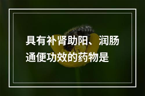 具有补肾助阳、润肠通便功效的药物是