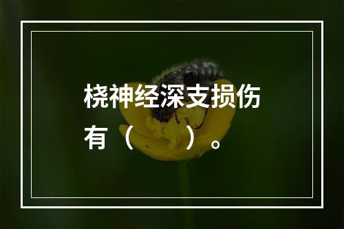 桡神经深支损伤有（　　）。