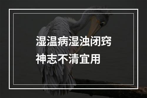 湿温病湿浊闭窍神志不清宜用