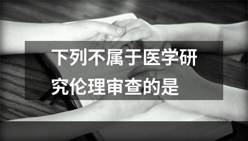 下列不属于医学研究伦理审查的是