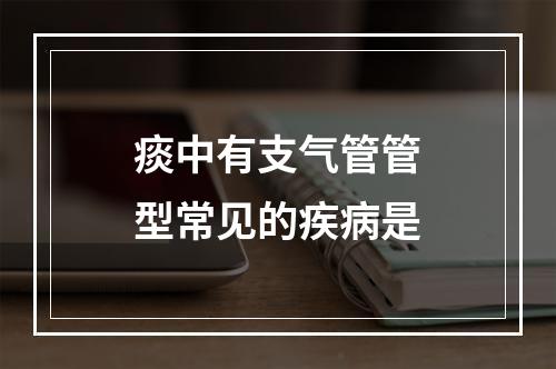 痰中有支气管管型常见的疾病是