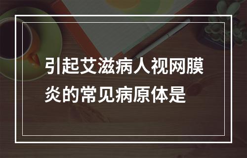 引起艾滋病人视网膜炎的常见病原体是