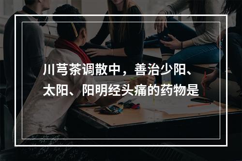 川芎茶调散中，善治少阳、太阳、阳明经头痛的药物是