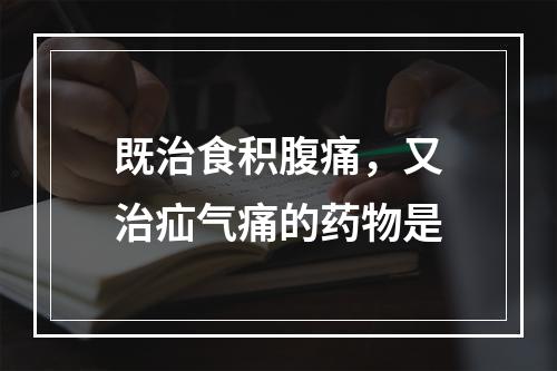 既治食积腹痛，又治疝气痛的药物是