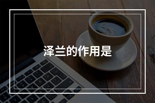 泽兰的作用是