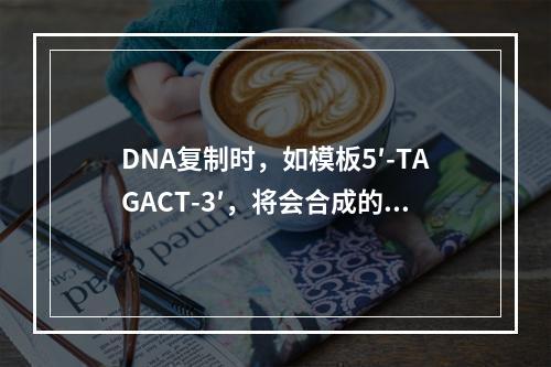 DNA复制时，如模板5′-TAGACT-3′，将会合成的互