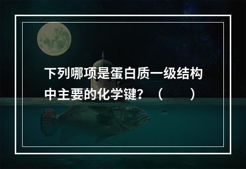 下列哪项是蛋白质一级结构中主要的化学键？（　　）