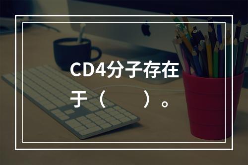 CD4分子存在于（　　）。