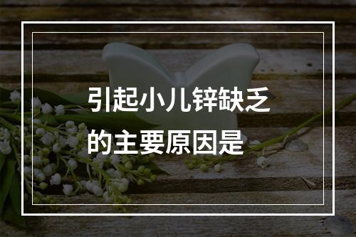 引起小儿锌缺乏的主要原因是