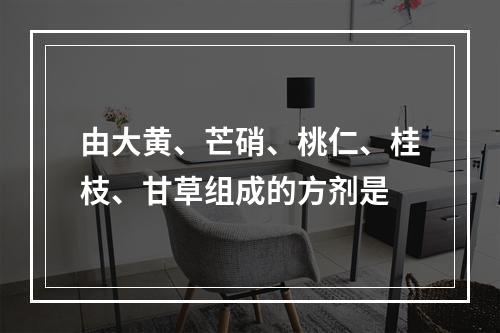 由大黄、芒硝、桃仁、桂枝、甘草组成的方剂是