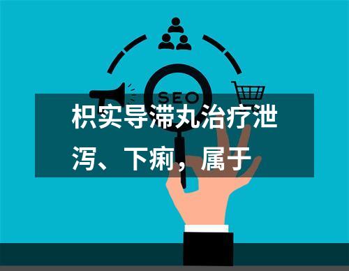 枳实导滞丸治疗泄泻、下痢，属于