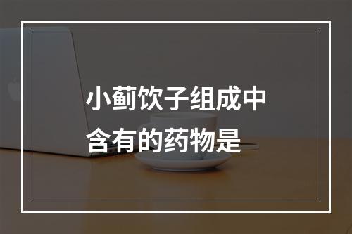 小蓟饮子组成中含有的药物是