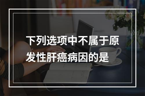 下列选项中不属于原发性肝癌病因的是