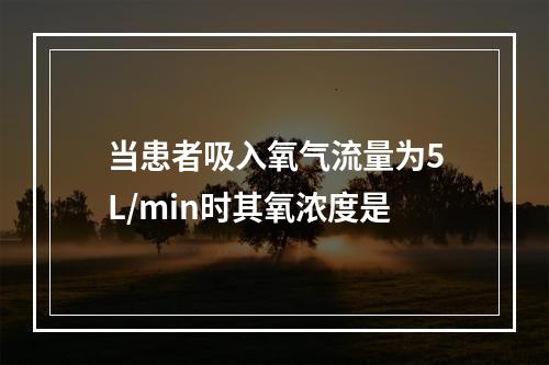 当患者吸入氧气流量为5L/min时其氧浓度是