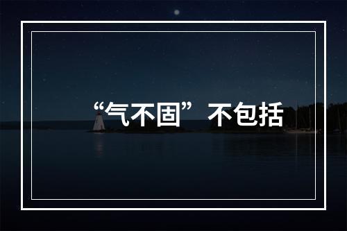 “气不固”不包括